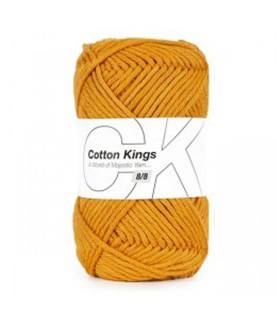 Cotton Kings 8/8 - 40 - Curry